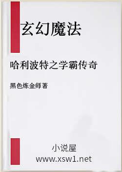 哈利波特之学霸传奇