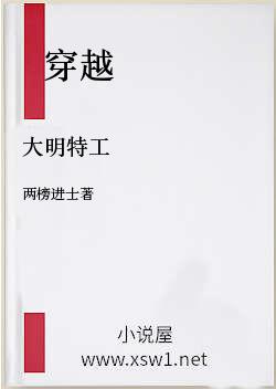 大明特工