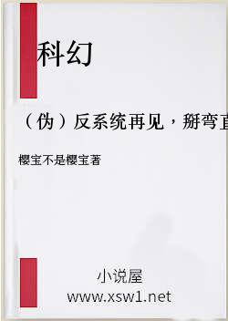 （伪）反系统再见，掰弯直男系统