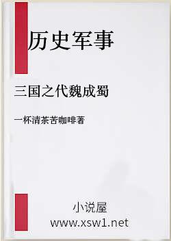 三国之代魏成蜀