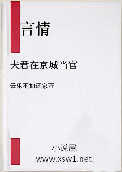 夫君在京城当官