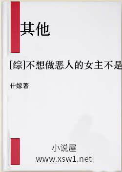 [综]不想做恶人的女主不是好英雄