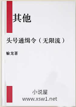 头号通缉令（无限流）