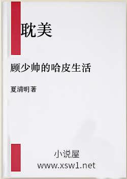 顾少帅的哈皮生活