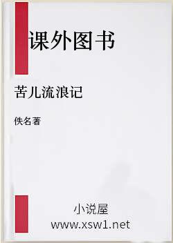 苦儿流浪记