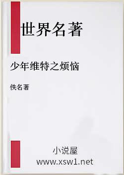 少年维特之烦恼