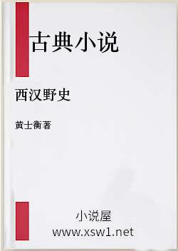 西汉野史