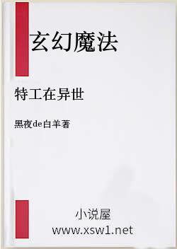 特工在异世
