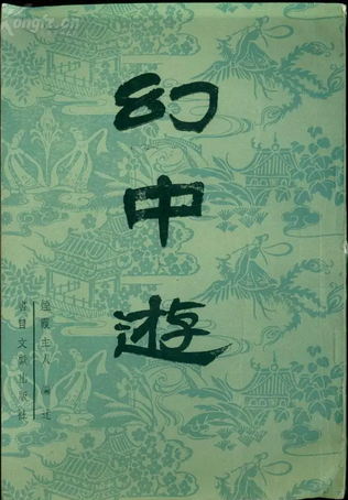 幻中游