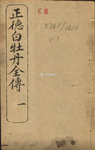 前明正德白牡丹