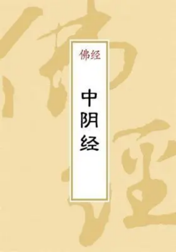 中阴经